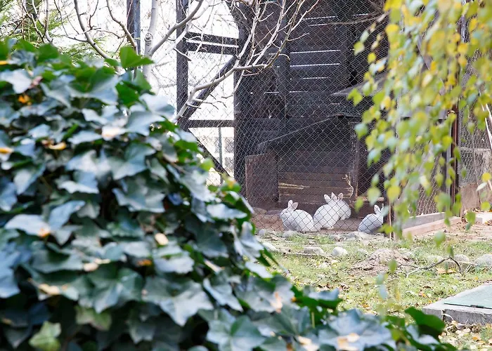 Sunrise Park - Free Wellness Bansko